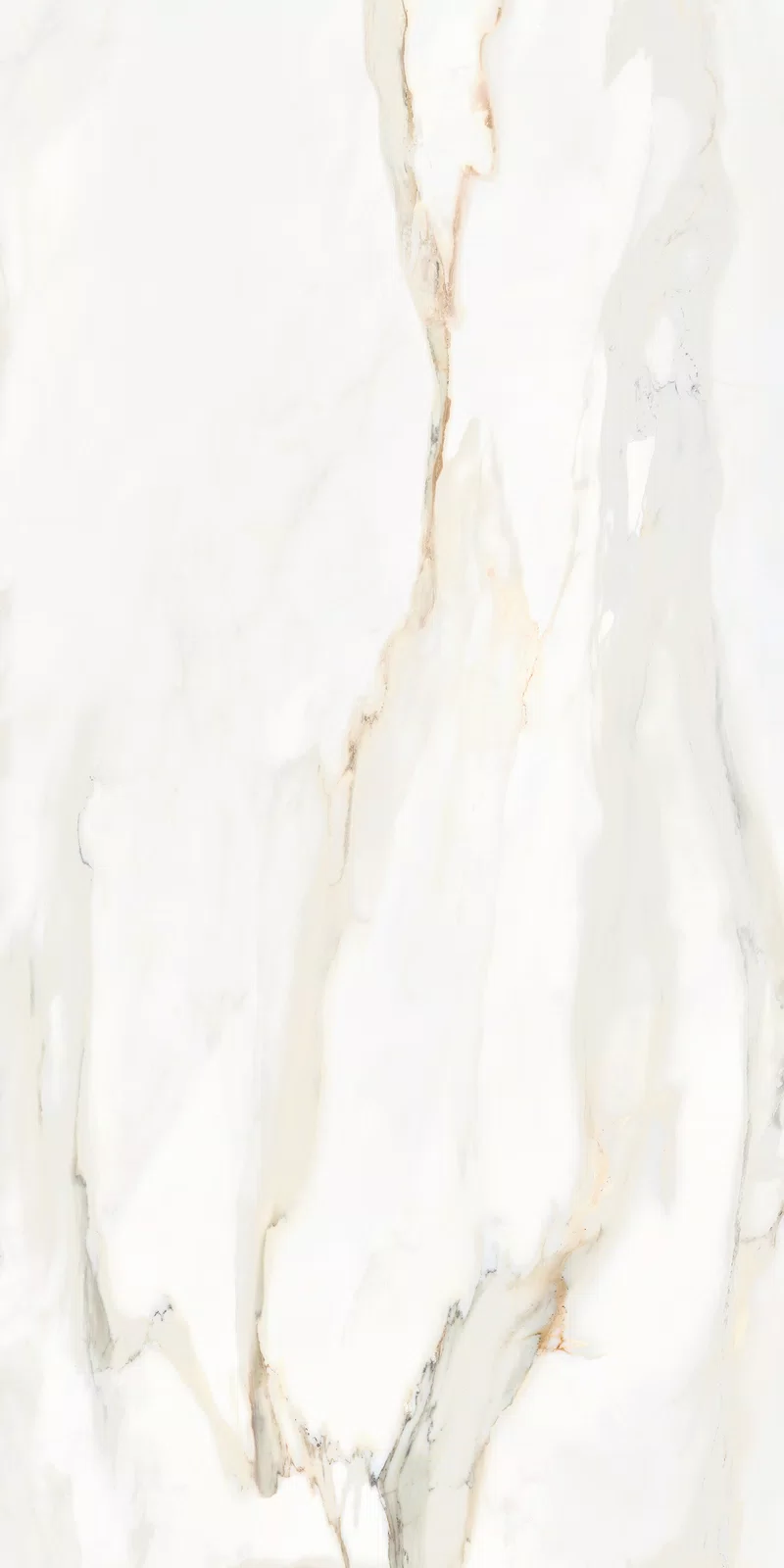 MARMOTECA_CALACATTA ELEGANCE_60X120_3