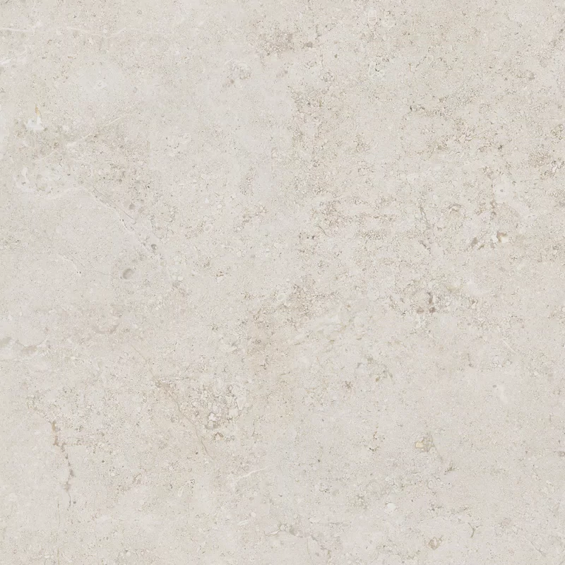 OROSEI BONE_2 80X80