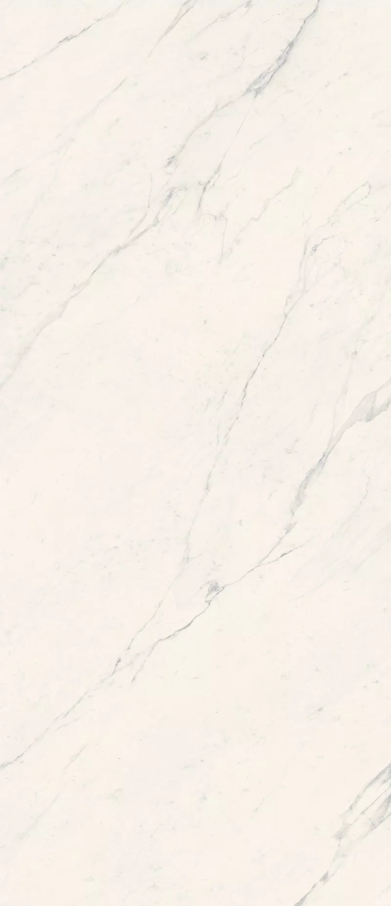 LA MARMOTECA_SAHARA WHITE_120X280_3
