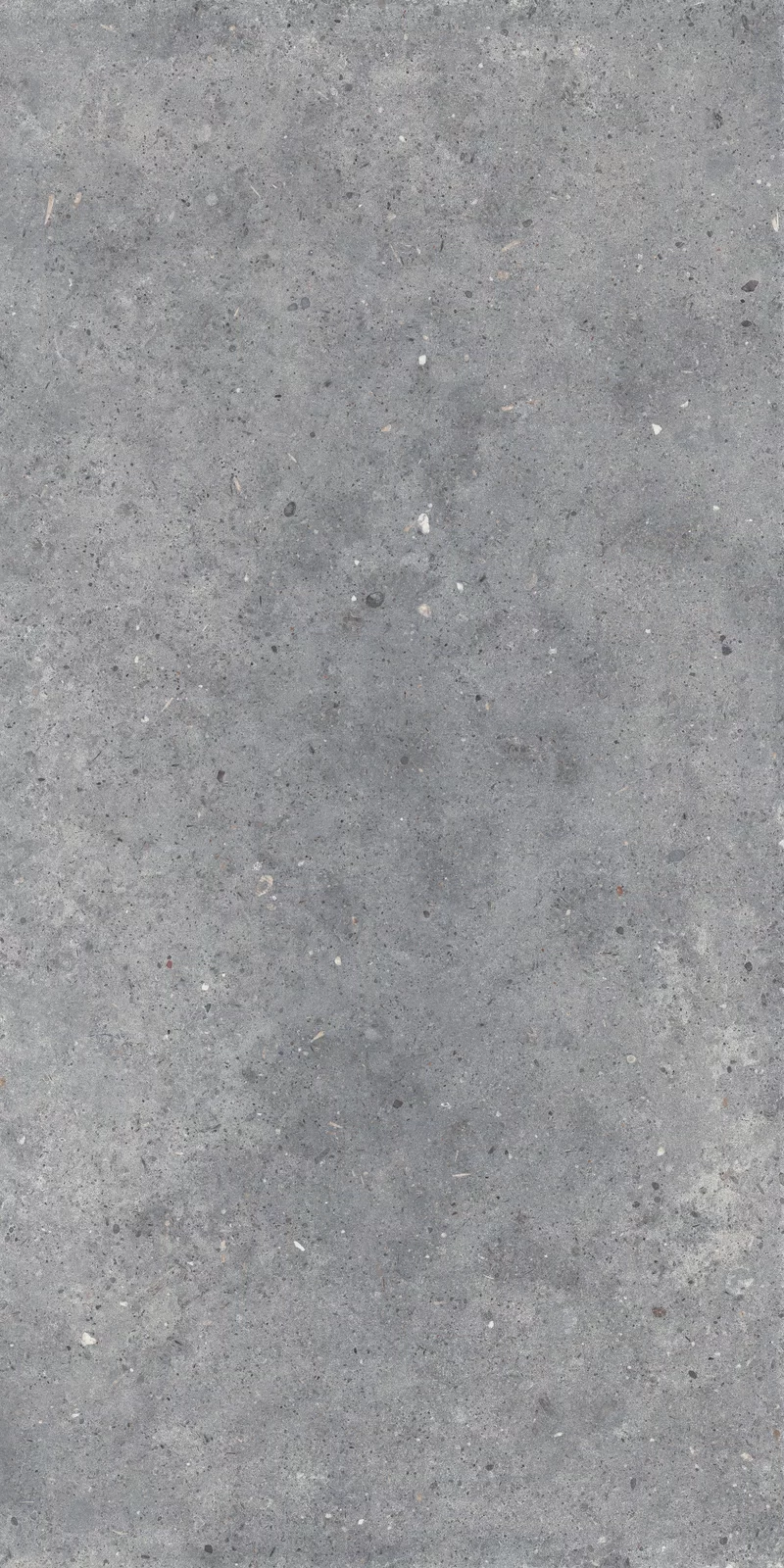 OUT.20 POETRY STONE PIRENEI GREY 60x120_04