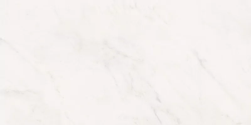 SENSI WHITE RHINO 60X120_15