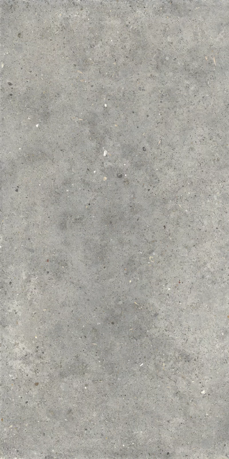 ANIMA GRIGIO 60X120_05