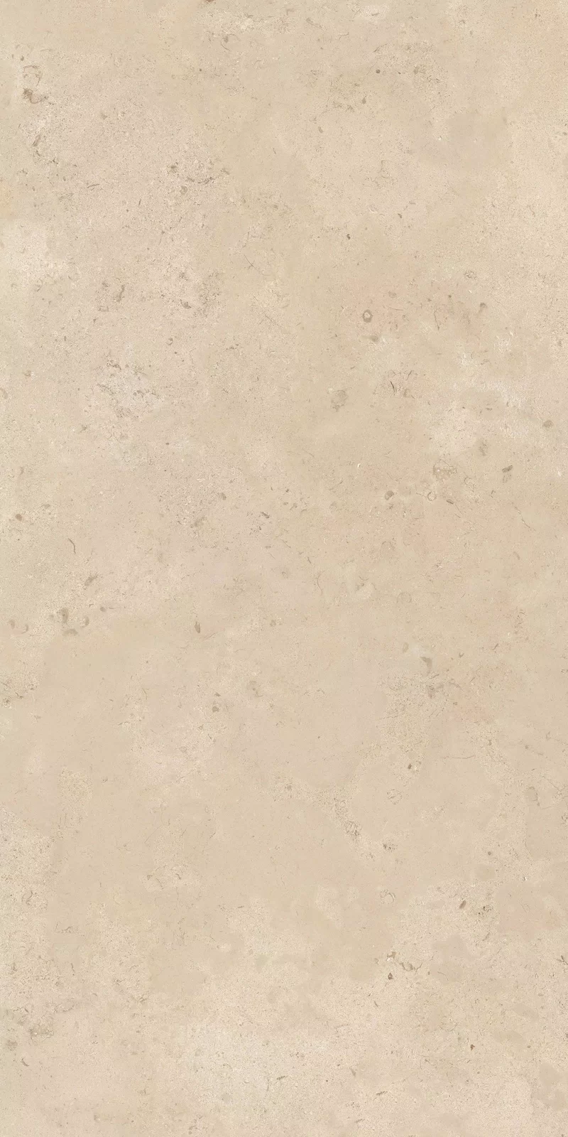 MEMENTO CAMARGUE BEIGE 60X120_16