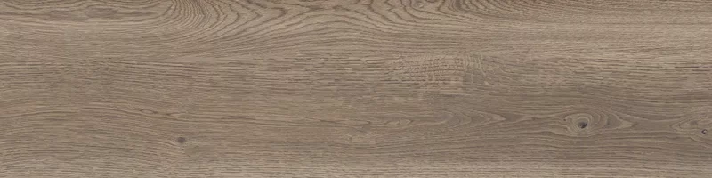 POETRY WOOD OAK 30X120_04