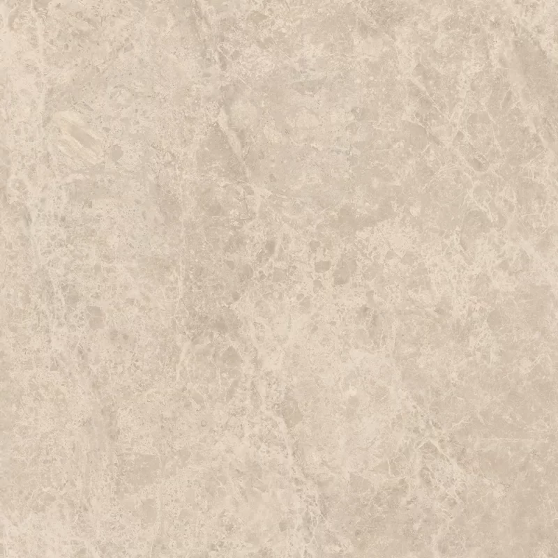 ERA DELICATE TAUPE 80X80_08