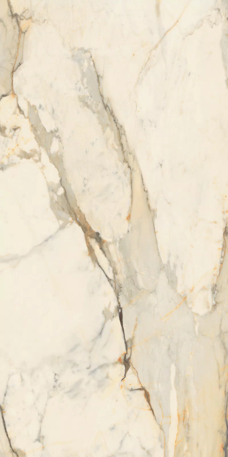 LA MARMOTECA_ANTIQUE BROWN_60x120_09