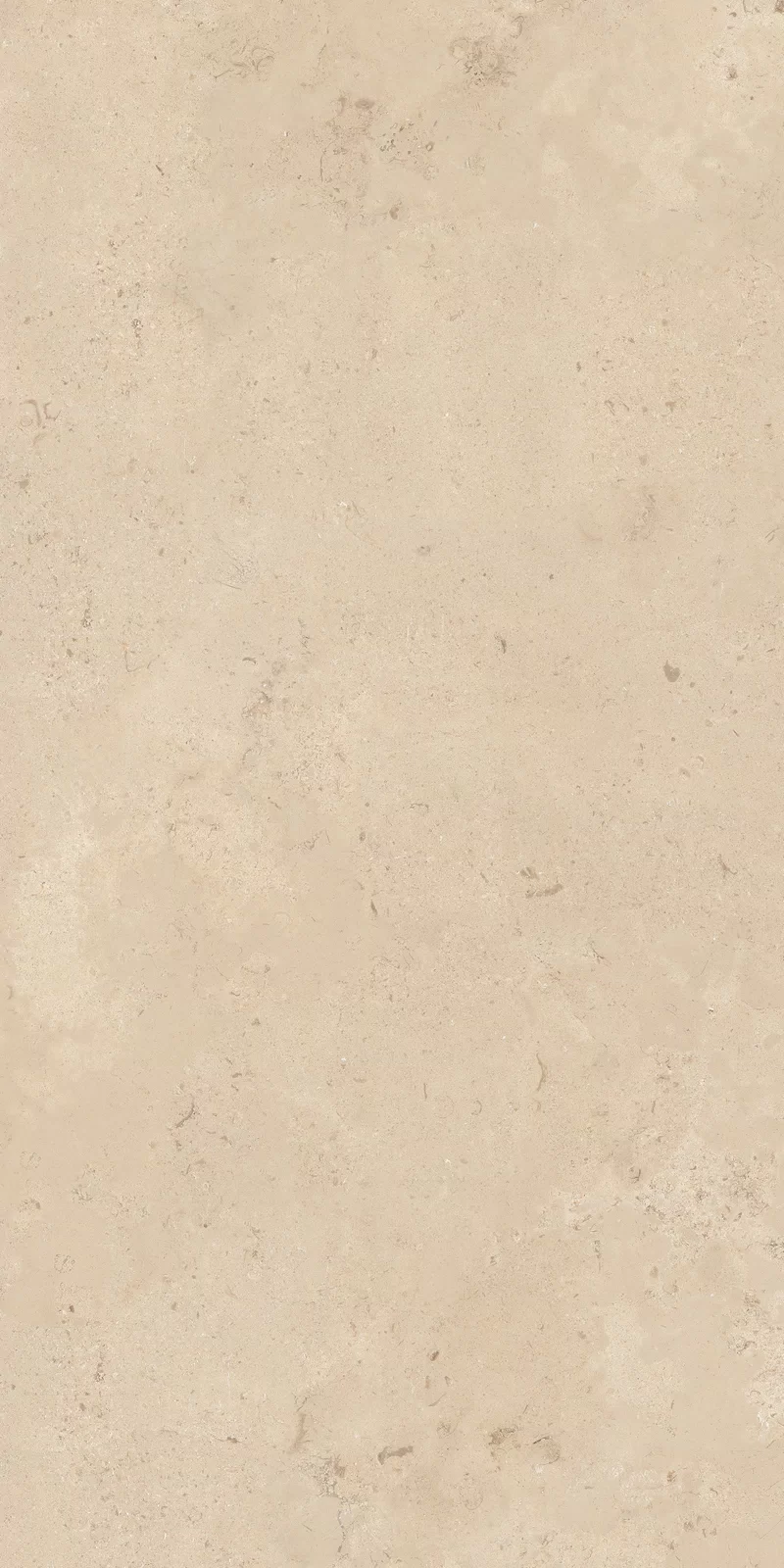 OUT.20 CAMARGUE BEIGE 60X120_07