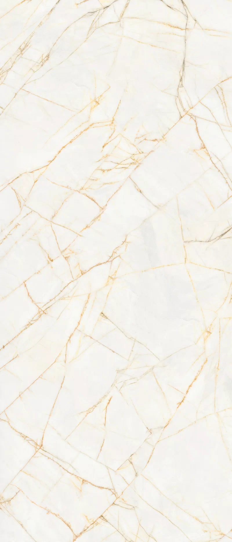 SUPREME HEDONISM GOLDEN SPIDER 120X280_03