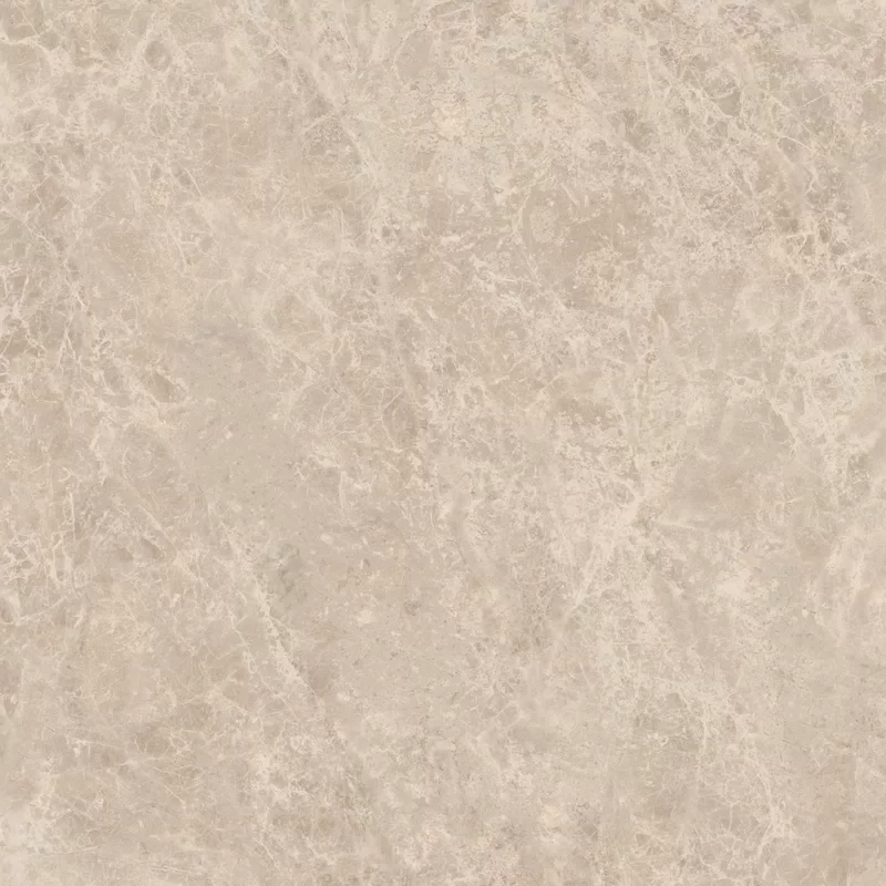 ERA DELICATE TAUPE 60X60_08