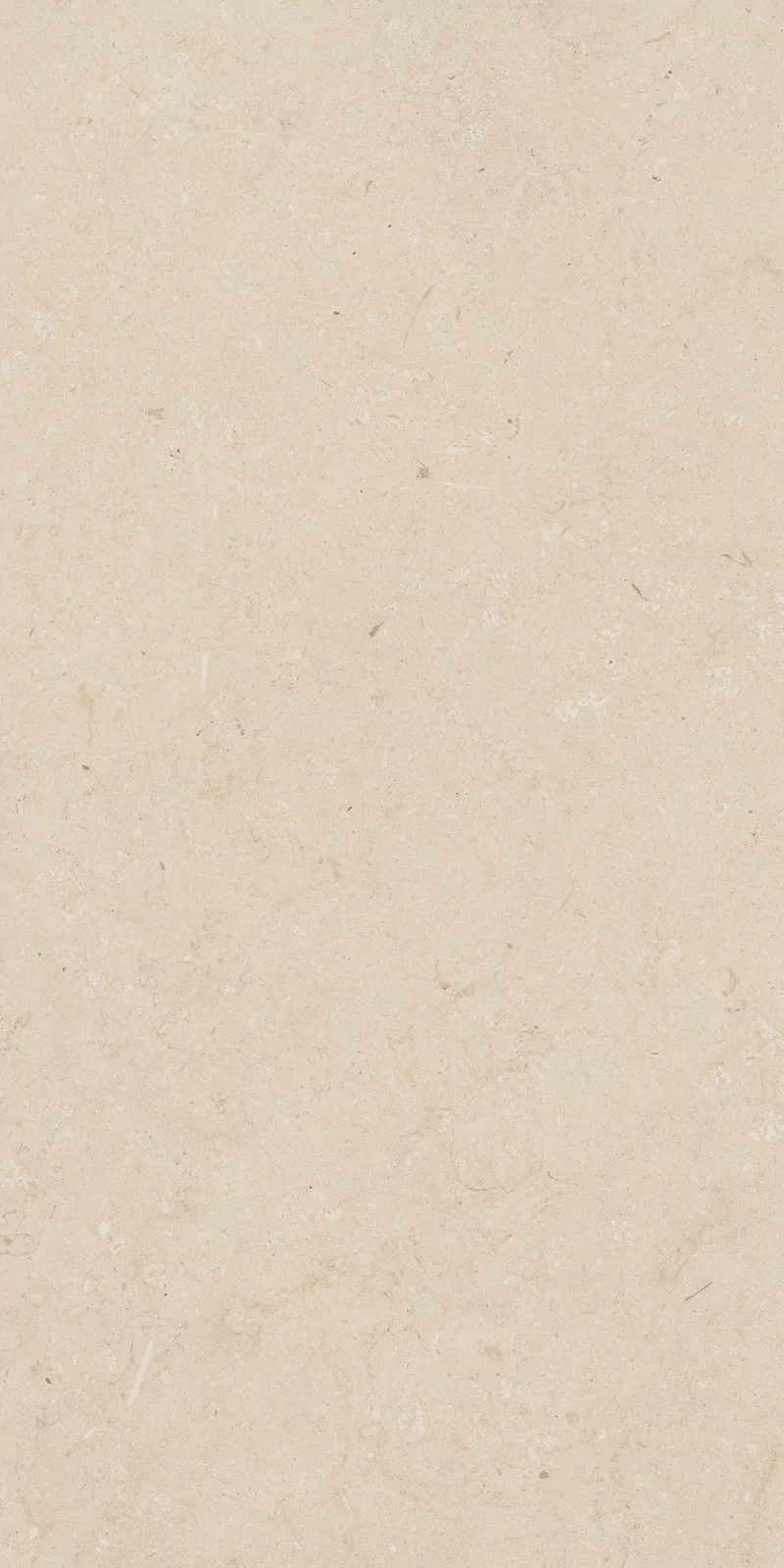 OUT.20 POETRY STONE TRANI BEIGE 60x120_02
