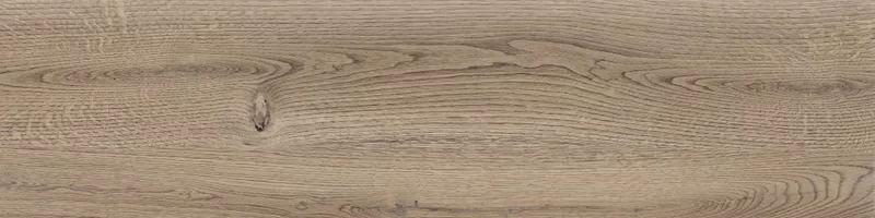 POETRY WOOD OAK 30X120_19