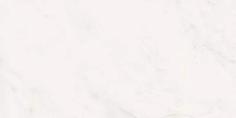 SENSI WHITE RHINO 60X120_04