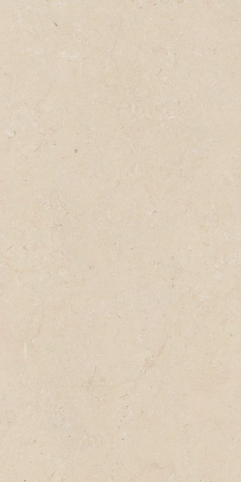 OUT.20 POETRY STONE TRANI BEIGE 60x120_03