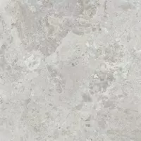 Piastrella Era Blooming Ash di ABK in grigio, finitura Naturale, 80x80, spessore 8.5 mm.