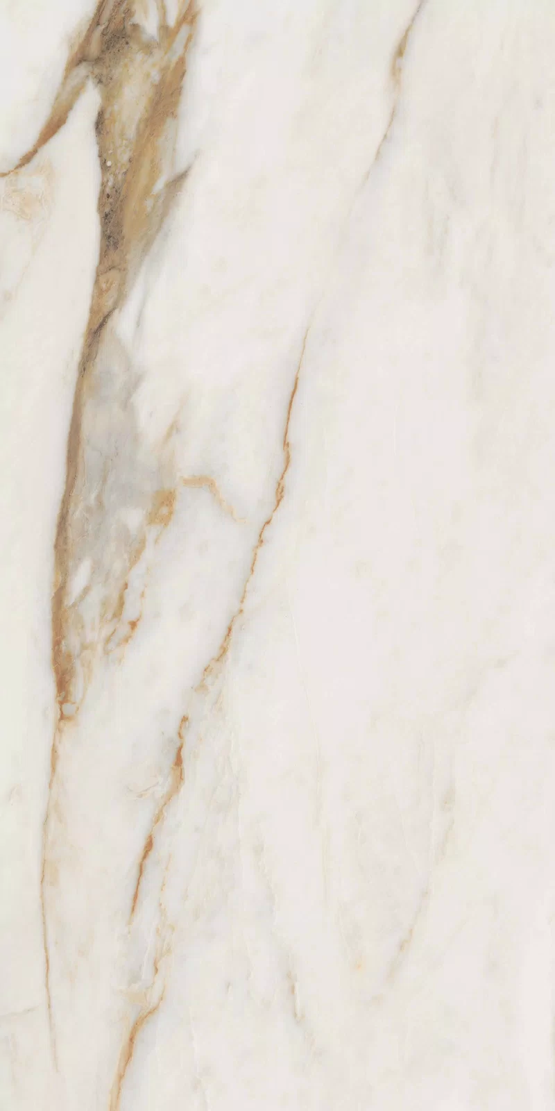 NOBILE CALACATTA 60X120_09
