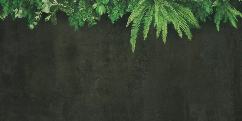 WIDE&STYLE CP4 SECRET GARDEN WALL 120X240_04