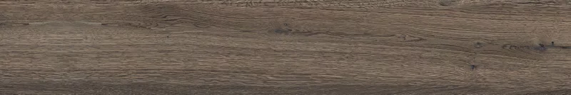 POETRY WOOD MUD 20X120_29