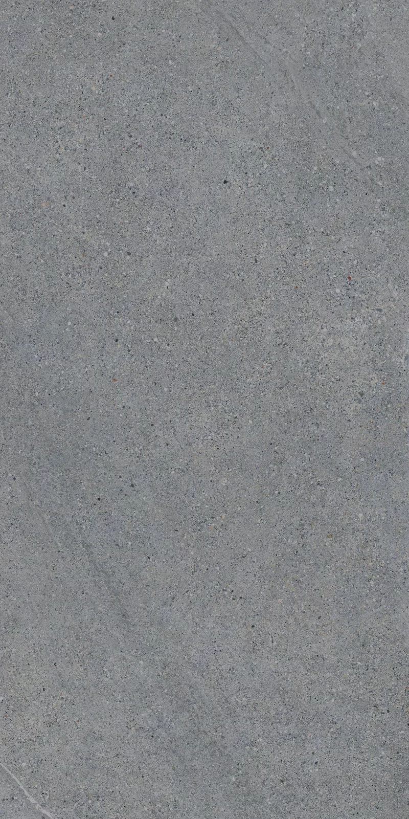 ROCKIN GREY 60X120_12