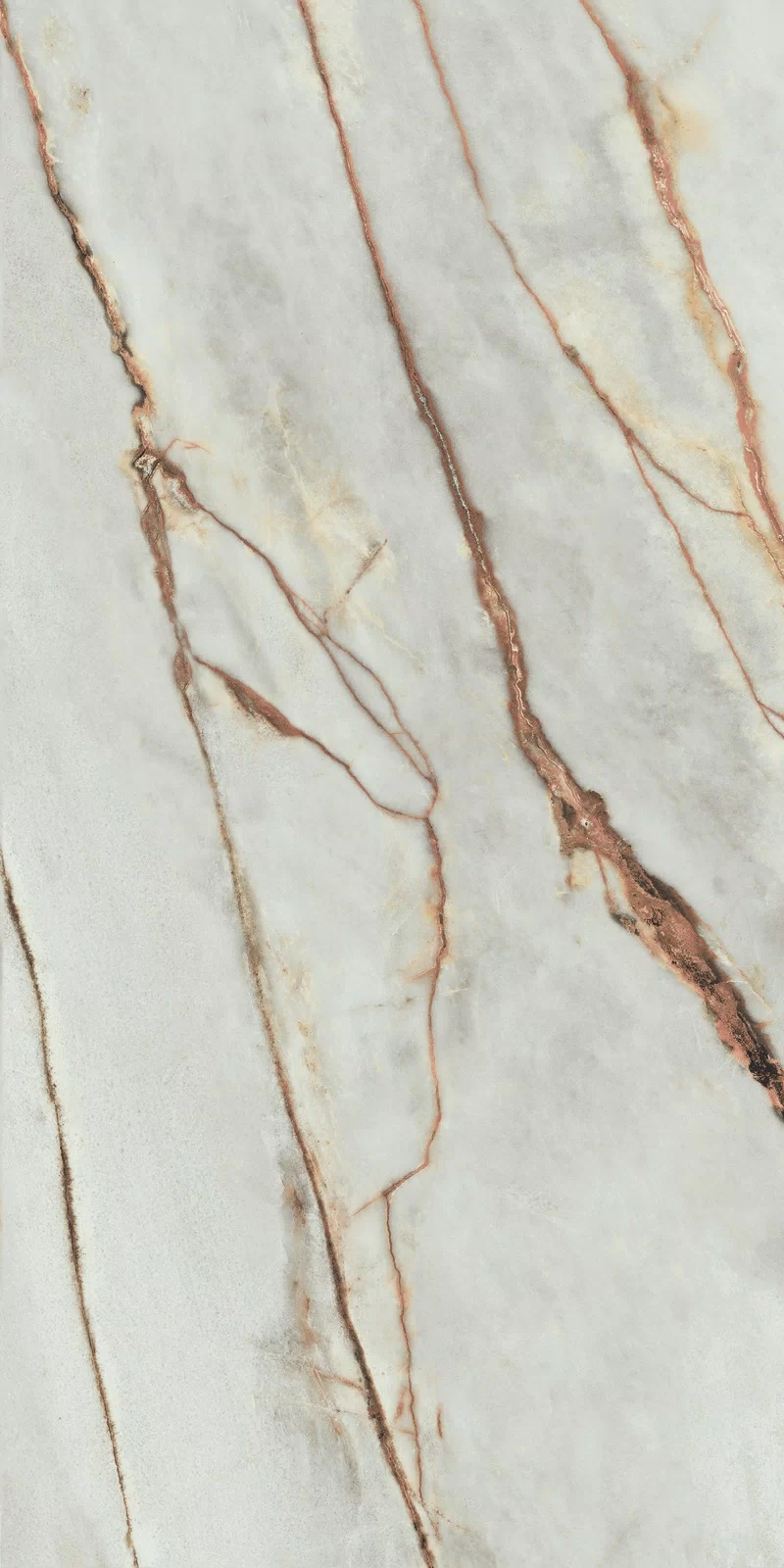 LA MARMOTECA_GREY WONDER 60X120_7