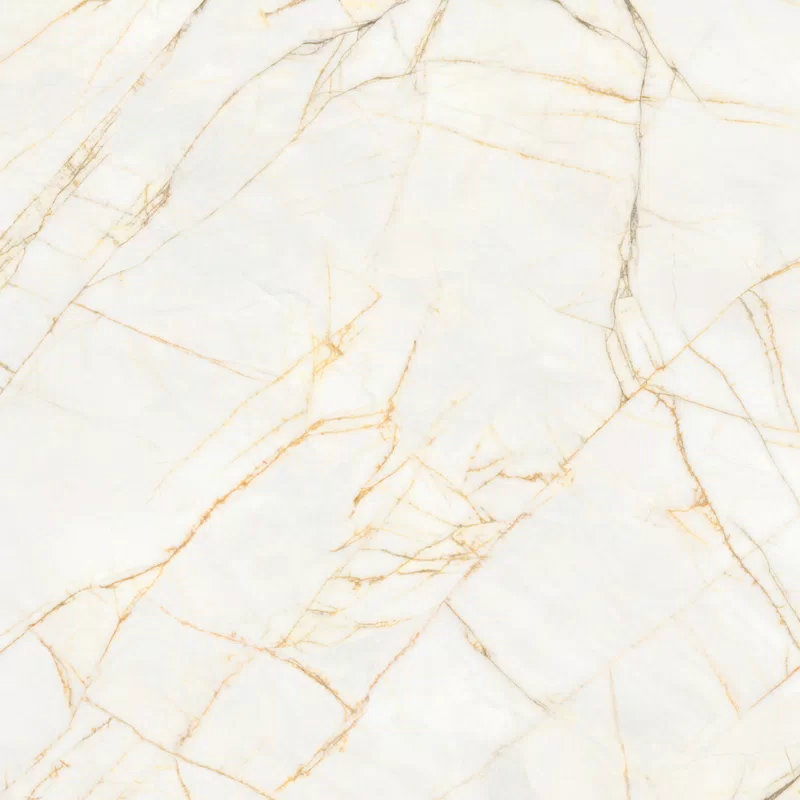 SUPREME HEDONISM GOLDEN SPIDER 120X120_07