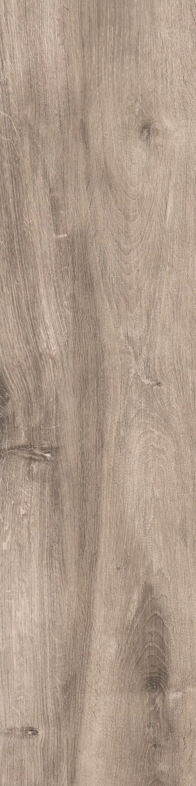 WOODLAND SAND 30X120_06