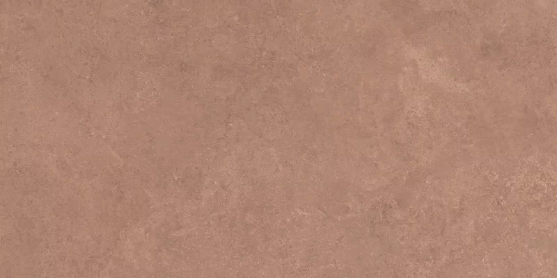 MIDI NATURE TERRE 60X120_07