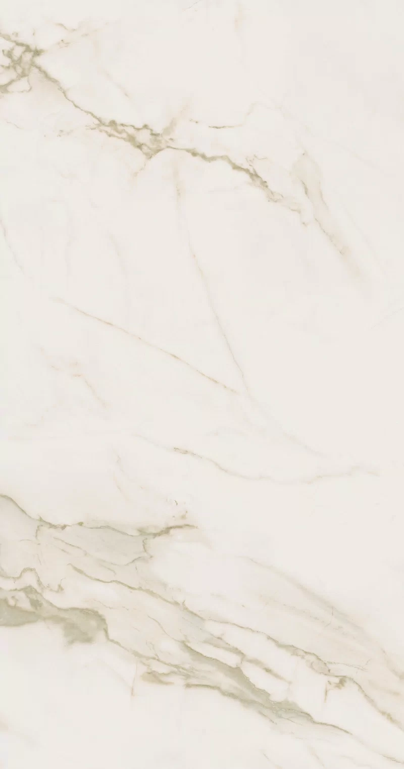 SUPREME EVO CALACATTA EXTRA 60X120_05