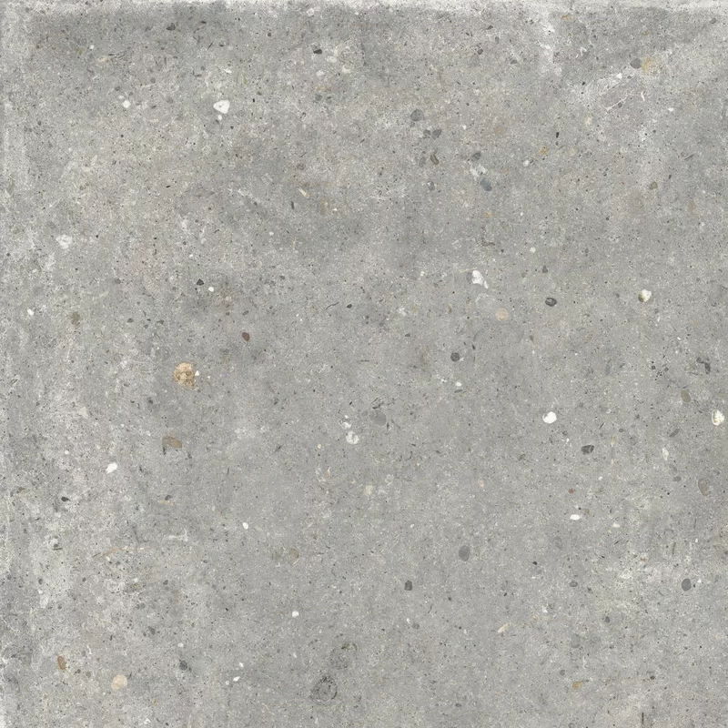 ANIMA GRIGIO 60X60_12