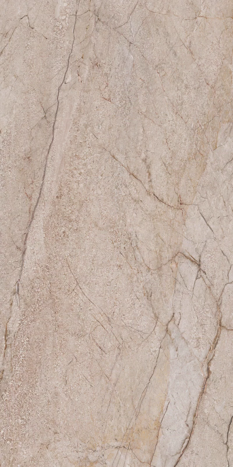 NOBILE SAND FLOWER 60X120_7