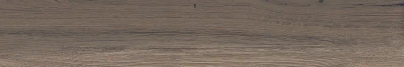 POETRY WOOD MUD 20X120_26