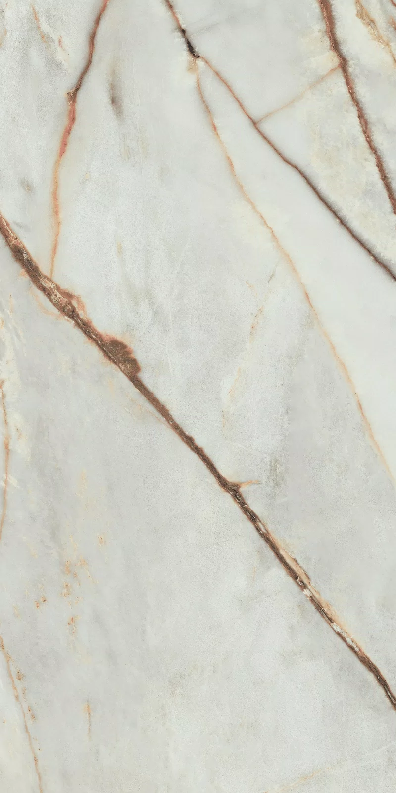 LA MARMOTECA_GREY WONDER 60X120_4