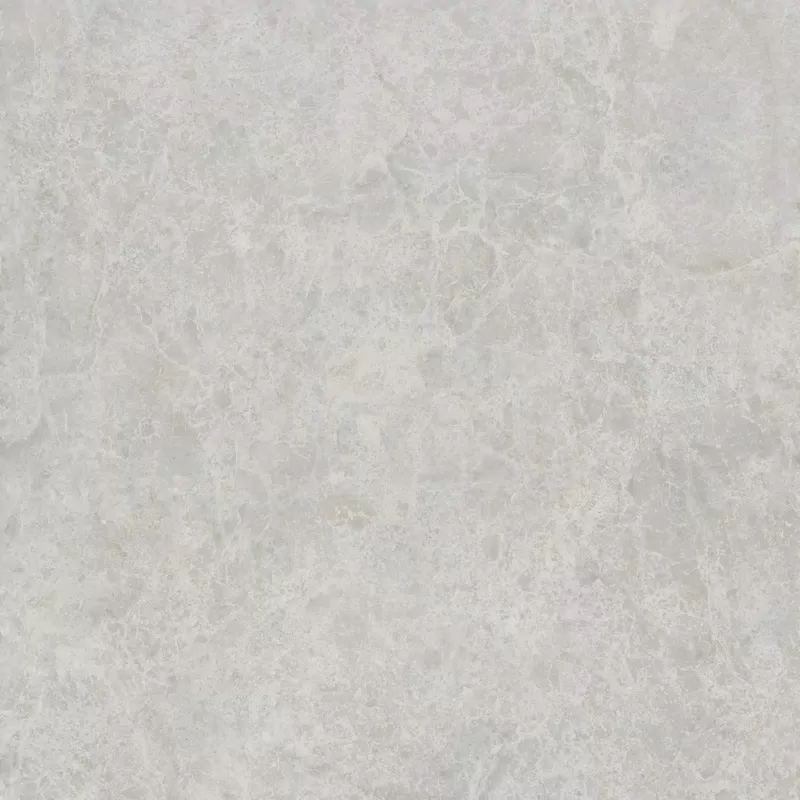 DELICATE ASH
