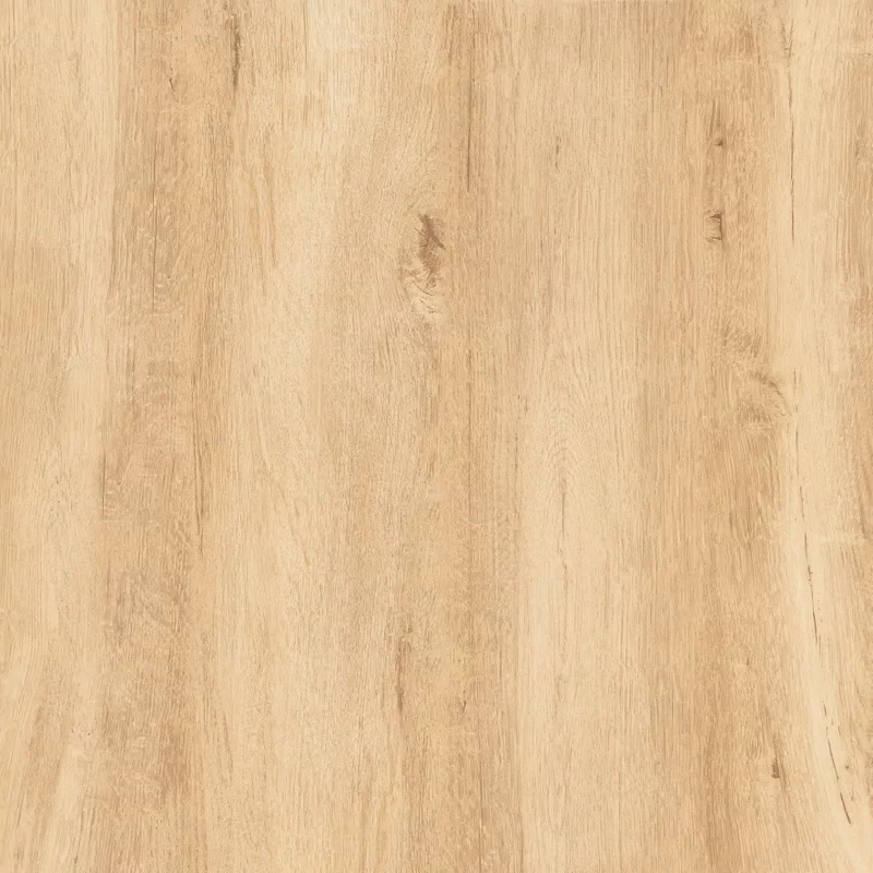OUT.20 HERMIONE BEIGE 60X60_12