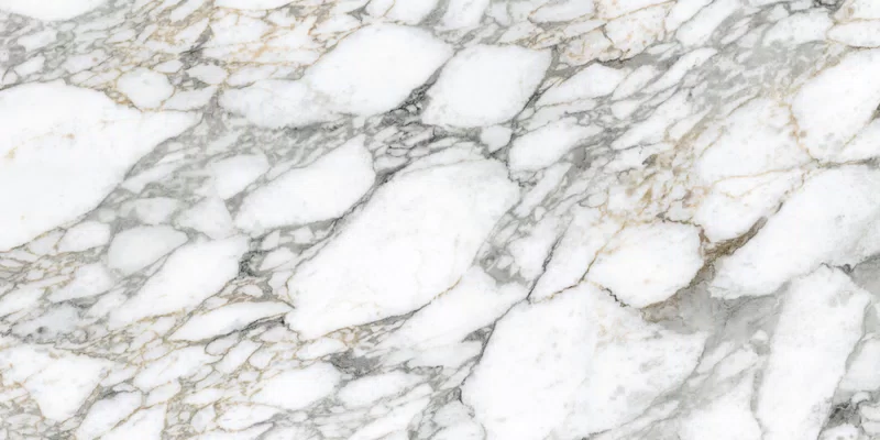 SUPREME MEMORIES BIANCO VAGLI 60X120_09