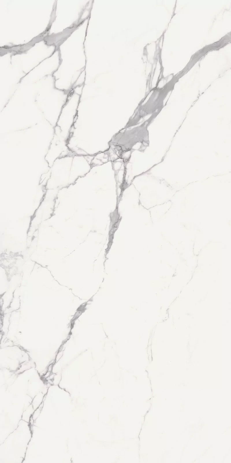 NOBILE STATUARIO 60X120_11