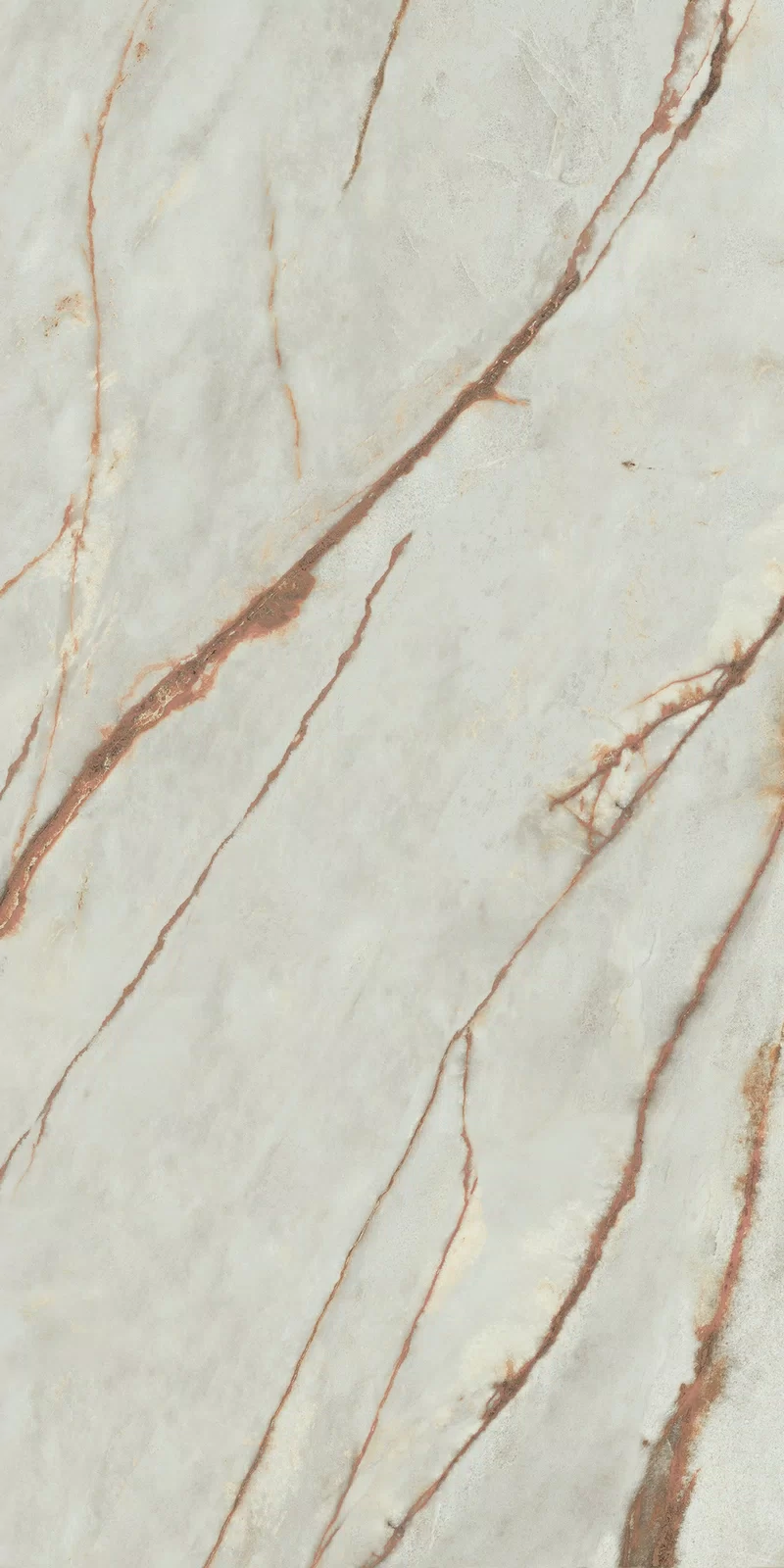 LA MARMOTECA_GREY WONDER 60X120_12