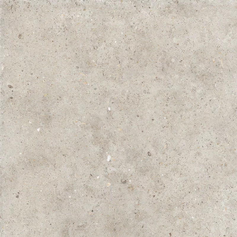 ANIMA BEIGE 60X60_12