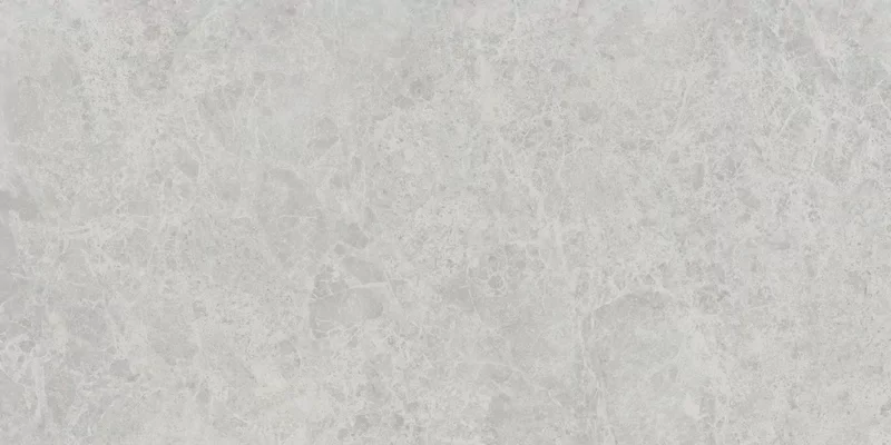 ERA DELICATE ASH 60X120_02