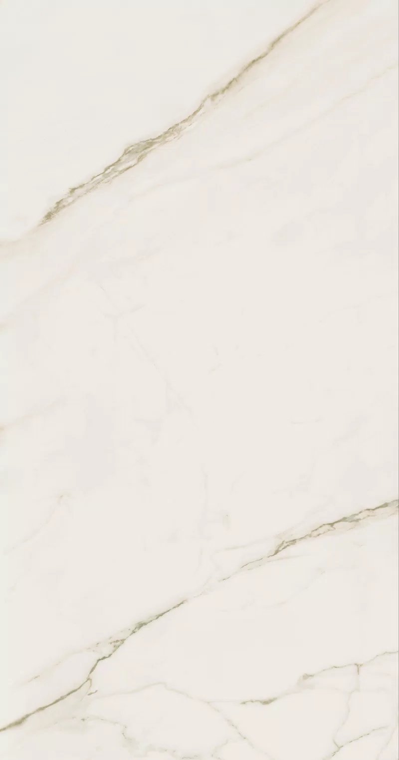 SUPREME EVO CALACATTA EXTRA 60X120_19