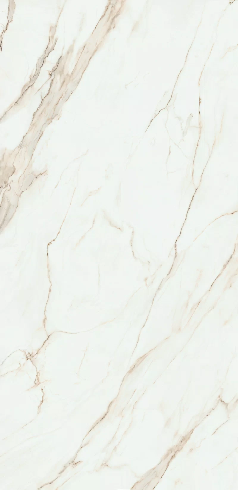 SENSI UP CALACATTA GOLD 160X320_2