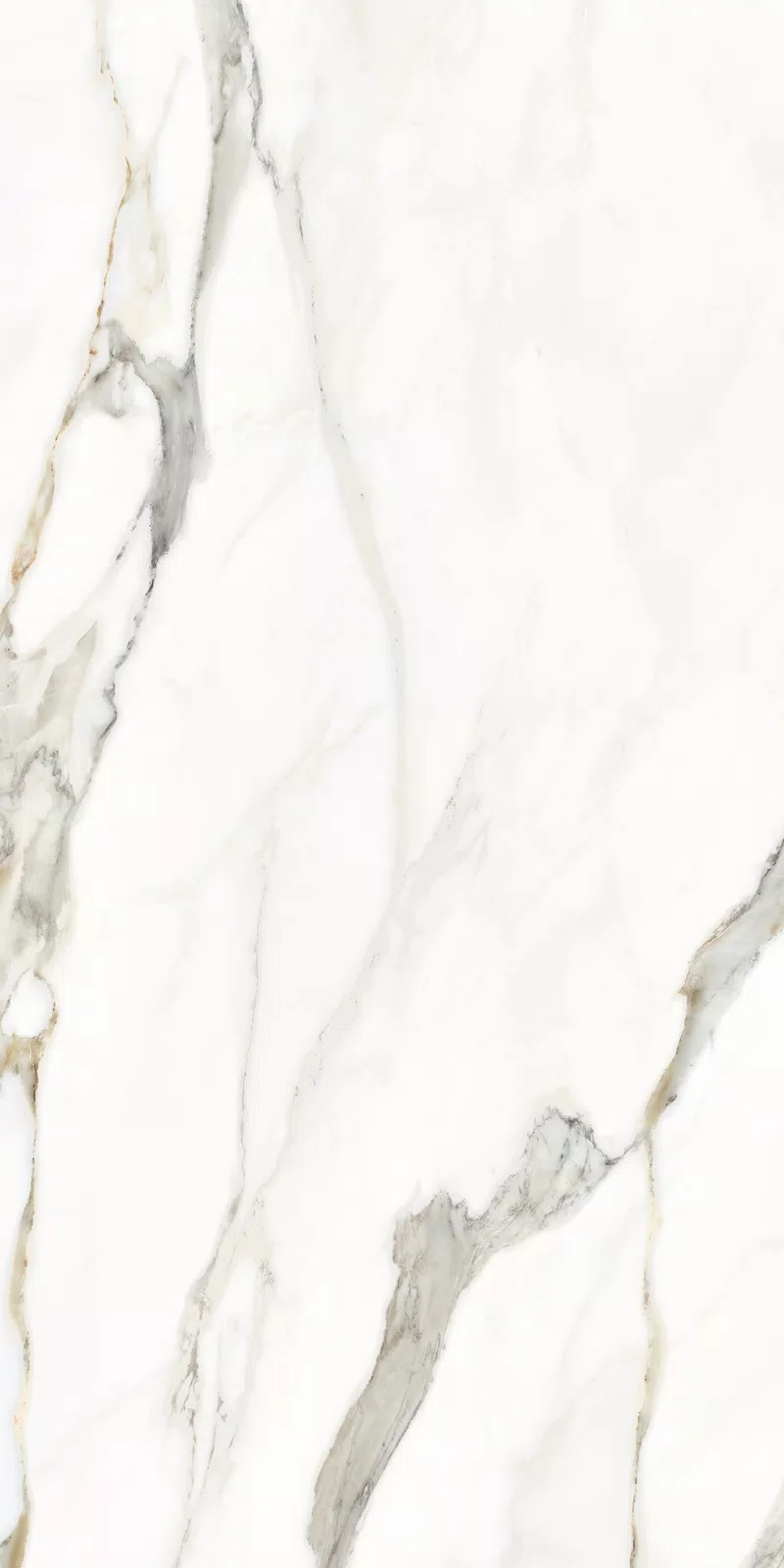 LA MARMOTECA_CALACATTA ELEGANCE_60X120_16