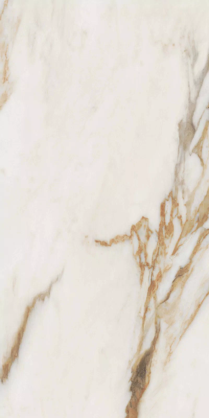 NOBILE CALACATTA 60X120_05