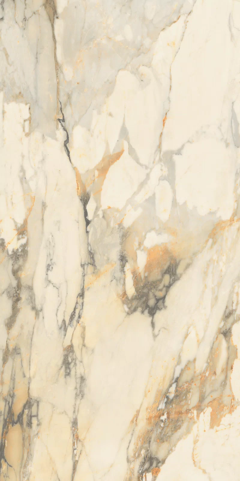 LA MARMOTECA_ANTIQUE BROWN_60x120_10