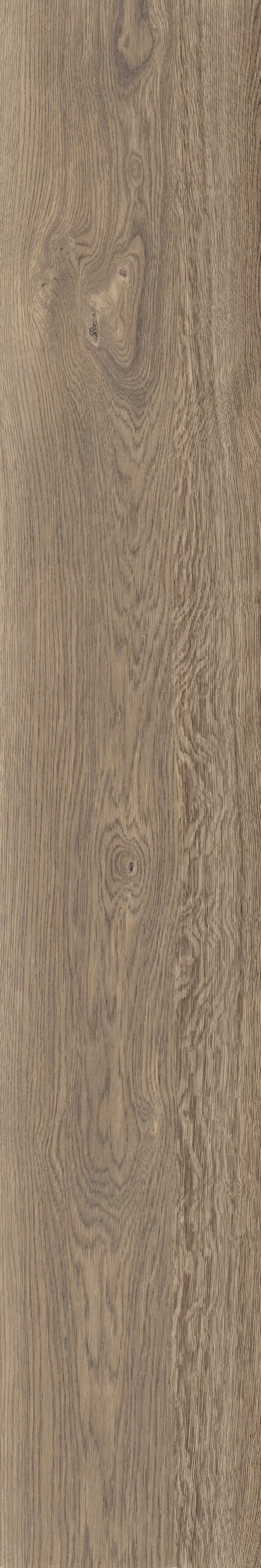 OUT.20 POETRY WOOD OAK_30x180_18