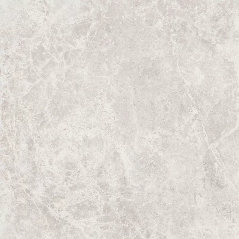 ERA DELICATE IVORY 60X60_05