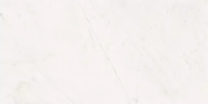 SENSI WHITE RHINO 60X120_14