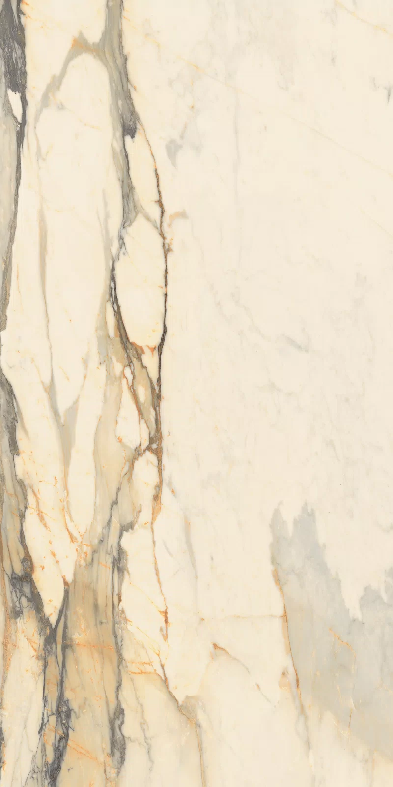LA MARMOTECA_ANTIQUE BROWN_60x120_02