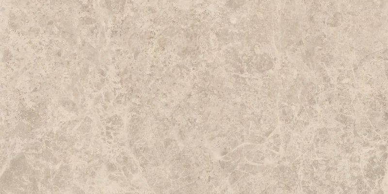 ERA DELICATE TAUPE 30X60_06