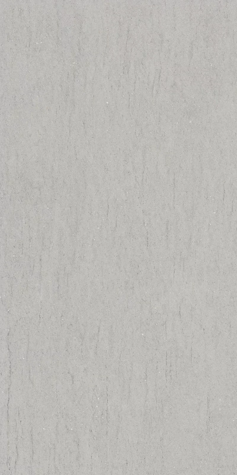 OUT.20 POETRY STONE RELOADED BASALTINA SILVER 60x120_02