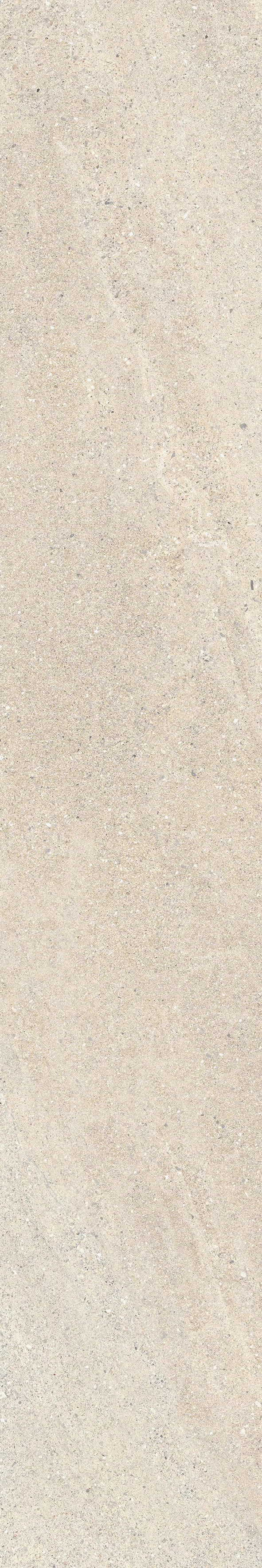 ROCKIN DESERT 20X120_02